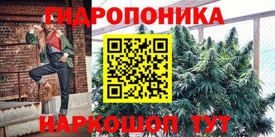 МДПВ Будённовск
